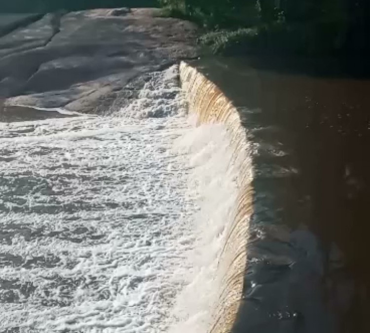 pennington-creek-dam-photo